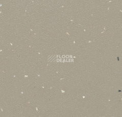 Линолеум Forbo SureStep Star 176772 cement фото 1 | FLOORDEALER